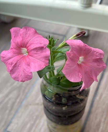 Self Photos / Files - 17