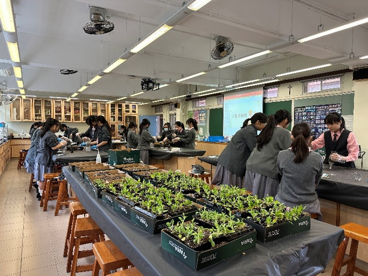 Self Photos / Files - 13