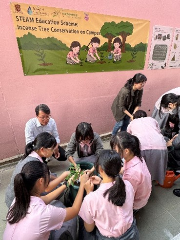 Self Photos / Files - 8