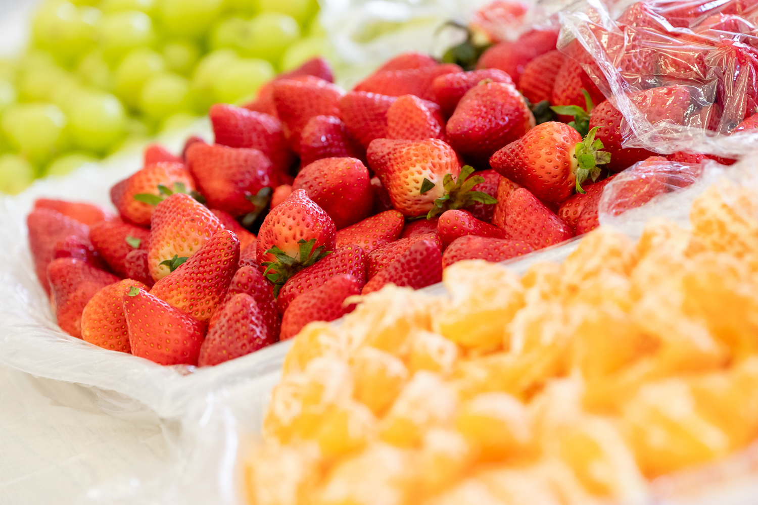 Self Photos / Files - A1A05237